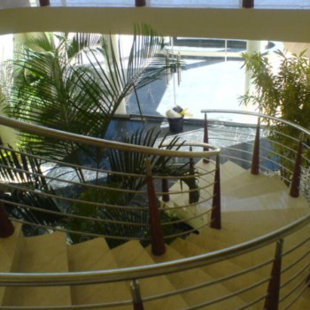 David Mentz - Timber 6